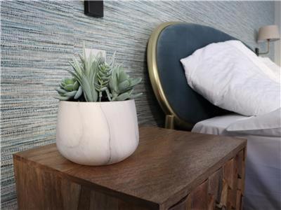 Chapel Lodge - Roof Top Garden!Perfect For Your Family Bath Zewnętrze zdjęcie